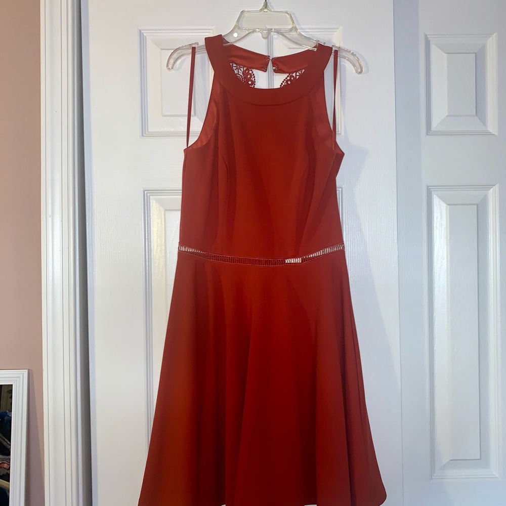 Francesca’s Cinnamon Sleeveless Dress